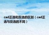 cad正选和反选的区别（cad正选与反选的不同）