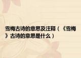 雪梅古诗的意思及注释（《雪梅》古诗的意思是什么）