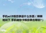 手机sd卡根目录是什么东西（弱弱地问下 手机储存卡根目录在哪里?）