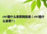 ctrl是什么意思网络语（ctrl是什么意思?）