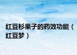 红豆杉果子的药效功能（红豆梦）