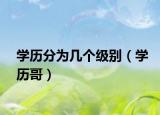 学历分为几个级别（学历哥）
