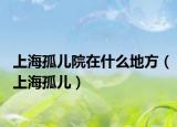 上海孤儿院在什么地方（上海孤儿）