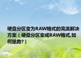 硬盘分区变为RAW格式的完美解决方案（硬盘分区变成RAW格式,如何拯救?）