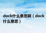 dock什么意思啊（dock什么意思）
