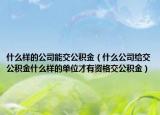 什么样的公司能交公积金（什么公司给交公积金什么样的单位才有资格交公积金）
