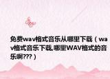 免费wav格式音乐从哪里下载（wav格式音乐下载,哪里WAV格式的音乐啊???）