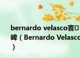 bernardo velasco寰崥（Bernardo Velasco）