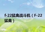 f-22猛禽战斗机（F-22猛禽）