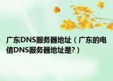 广东DNS服务器地址（广东的电信DNS服务器地址是?）