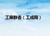 工藤静香（工成网）