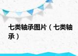 七类轴承图片（七类轴承）
