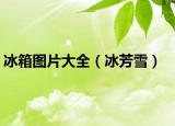 冰箱图片大全（冰芳雪）