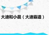 大迪和小晨（大迪霸道）