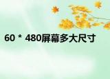 60 * 480屏幕多大尺寸