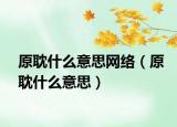 原耽什么意思网络（原耽什么意思）
