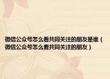 微信公众号怎么看共同关注的朋友是谁（微信公众号怎么看共同关注的朋友）
