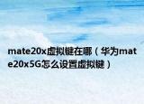 mate20x虚拟键在哪（华为mate20x5G怎么设置虚拟键）