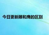 今日更新雕和鹰的区别