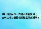 红叶谷吉林市一日游必去的景点（吉林红叶谷最佳观赏期是什么时候）