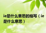 ie是什么意思的缩写（ie是什么意思）