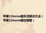 苹果11home键失灵解决方法（苹果11home键在哪里）