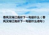 春风又绿江南岸下一句是什么（春风又绿江南岸下一句是什么诗句）