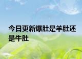 今日更新爆肚是羊肚还是牛肚