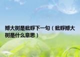 撼大树是蚍蜉下一句（蚍蜉撼大树是什么意思）
