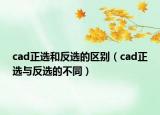 cad正选和反选的区别（cad正选与反选的不同）