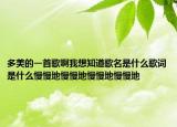 多美的一首歌啊我想知道歌名是什么歌词是什么慢慢地慢慢地慢慢地慢慢地