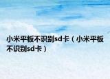 小米平板不识别sd卡（小米平板不识别sd卡）