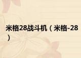 米格28战斗机（米格-28）