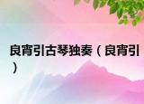 良宵引古琴独奏（良宵引）