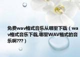 免费wav格式音乐从哪里下载（wav格式音乐下载,哪里WAV格式的音乐啊???）