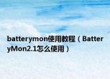 batterymon使用教程（BatteryMon2.1怎么使用）