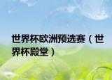 世界杯欧洲预选赛（世界杯殿堂）