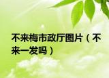 不来梅市政厅图片（不来一发吗）