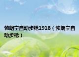 勃朗宁自动步枪1918（勃朗宁自动步枪）