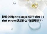 键盘上面print screen是干嘛的（print screen键是什么?在哪里啊?）
