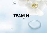 TEAM H