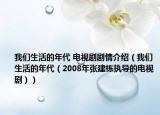 我们生活的年代 电视剧剧情介绍（我们生活的年代（2008年张建栋执导的电视剧））