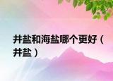 井盐和海盐哪个更好（井盐）