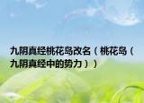 九阴真经桃花岛改名（桃花岛（九阴真经中的势力））