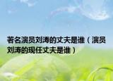 著名演员刘涛的丈夫是谁（演员刘涛的现任丈夫是谁）
