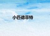 小匹德菲特