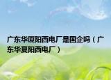 广东华厦阳西电厂是国企吗（广东华夏阳西电厂）