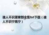 谁人不识萧家郎全集txt下载（谁人不识宁高宁）