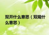 双开什么意思（双规什么意思）