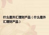 什么是外汇理财产品（什么是外汇理财产品）